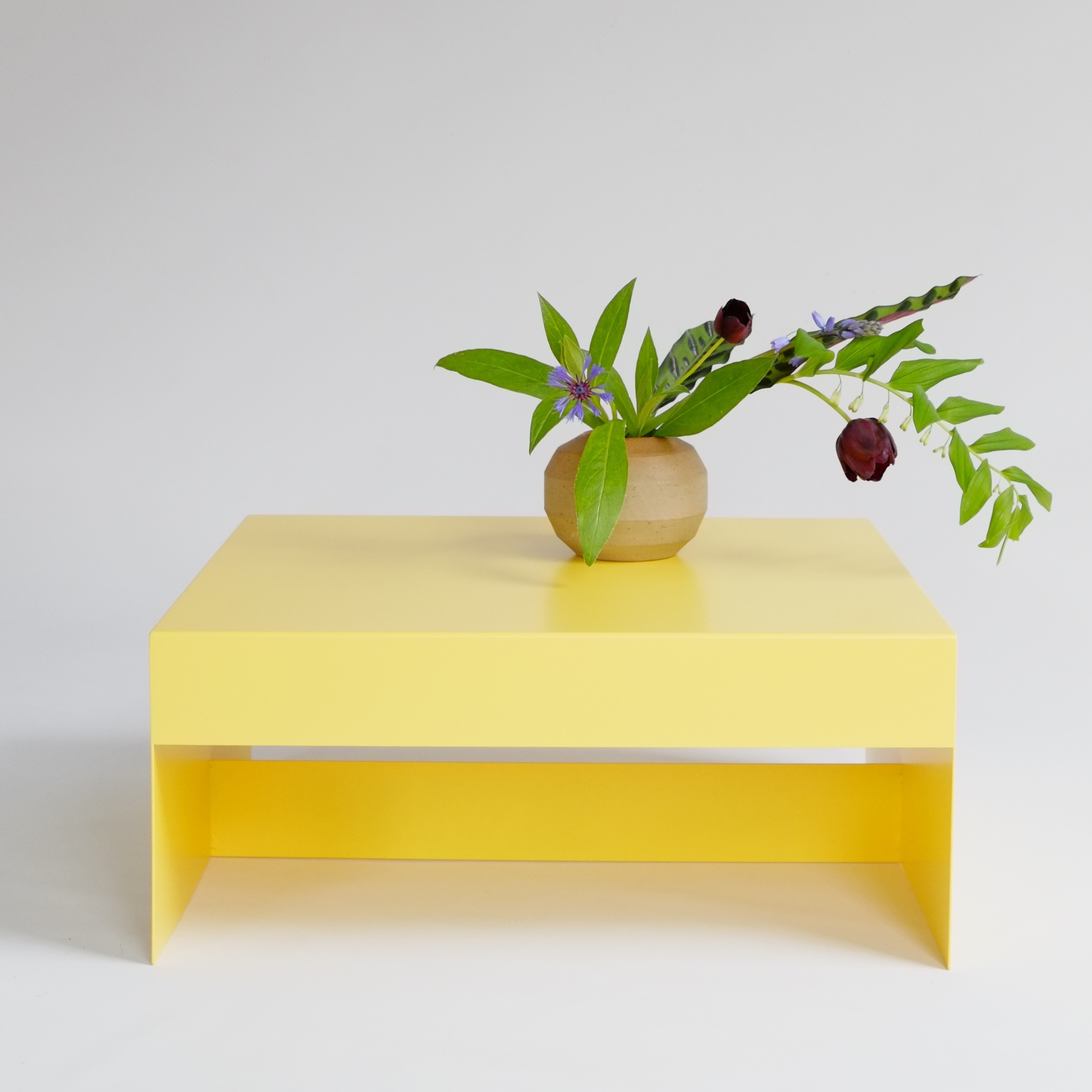 Single Form Coffee Table